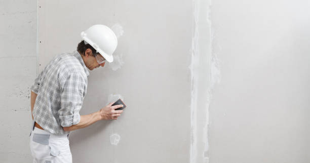 Trusted Greenbriar, VA Mold Removal Experts
